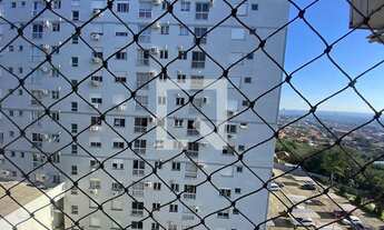 Imagem 6: Apartamento à Venda - Pinheiro, 3 Quartos, 73 m2