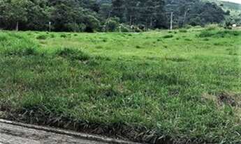 Imagem 2: TERRENO - ALPHAVILLE - SP