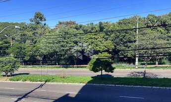 Imagem 6: PORTO ALEGRE - Padrão - Jardim Botânico