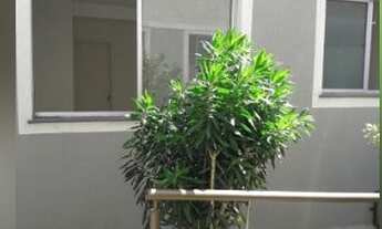 Imagem: Contagem - Apartamento Padrão - Fonte Grande