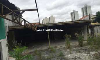 Imagem 3: São Paulo - Terreno Padrão - VILA PORTUGUESA