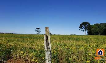 Imagem 4: Chácara à venda em IPIRANGA para plantio