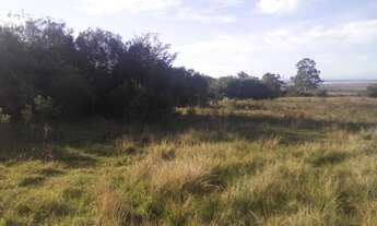 Imagem 2: Terreno em Branquinha