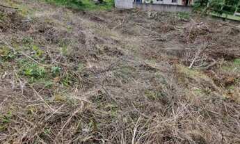 Imagem 7: Terreno à venda, 900 m² por R$ 800.000 - Siriú - Garopaba/Santa Catarina