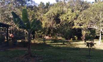 Imagem 3: Linda chácara perfeita para você