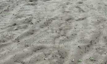 Imagem 2: Vendo ou troco três terreno em Tibiri 2