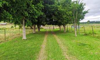 Imagem 7: Sitio em Itapetininga