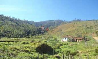 Imagem 2: Roseira - Terreno Padrão - Vargem Grande