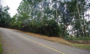 Imagem 5: Barueri - Loteamento/Condomínio - TAMBORÉ I