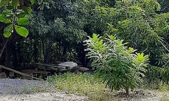 Imagem 5: Casa de campo ( condomínio