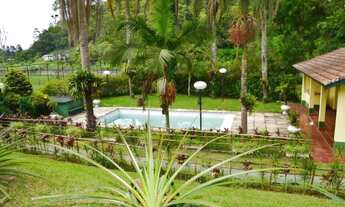 Imagem: SITIO RIBEIRÃO PIRES OURO FINO