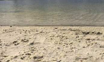 Imagem 3: Loteamento Lagoas Do Giral A 900 Metros Da Praia E A 2Km Do Centro De Paracuru!.. n°:45