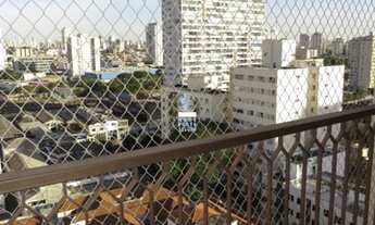 Imagem 4: SãO PAULO - Padrão - Belenzinho