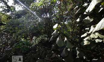 Imagem 5: Apartamento para Aluguel - Itaquera, 2 Quartos, 50 m2