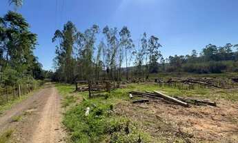 Imagem 7: Fazenda/Sítio/Chácara para venda tem 50000 metros quadrados em Área Rural de Taquara - Taq