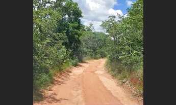 Imagem 2: Gleba 314 Hectares,Escriturada,geo Referenciada...Potencial Pastagem e Eucaliptoss