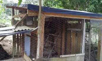 Imagem 7: Sítio no Rio Preto da Eva próximo à Manaus / AM