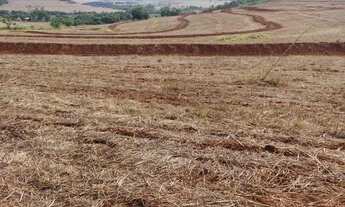Imagem 2: Sítio com 16,41 hectares (6,78 alqueires) em Ibiporã, área de plantio, 100% mecanizado