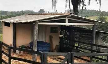 Imagem 4: Fazenda/Sítio/Chácara venda com 20000 metros com 3 quartos