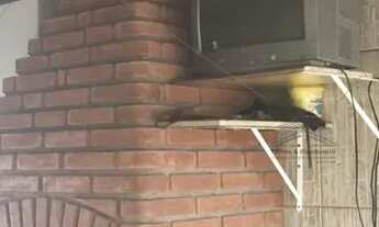 Imagem 7: Sobrado no Alto da Mooca próximo a Avenida Paes de Barros