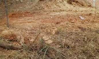 Imagem 5: Meio Lote Liberdade Santa Luzia