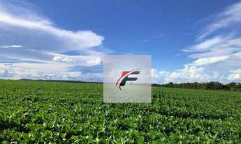 Imagem 2: Fazenda à venda, 10139800 m² por R$ 99.000.000,00 - Centro - Florestópolis/PR