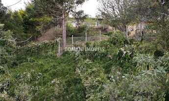 Imagem: Terreno com Preço de Oportunidade à Venda