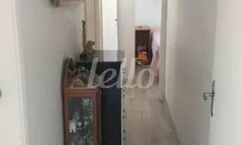 Imagem 5: São Paulo - Apartamento Padrão - Cambuci