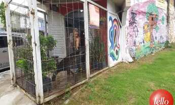 Imagem 3: São Paulo - Casa Comercial - Pinheiros