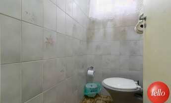 Imagem 7: São Paulo - Casa Padrão - Tatuapé