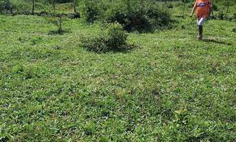 Imagem 4: Vendo terreno (GRANDE OPORTUNIDADE