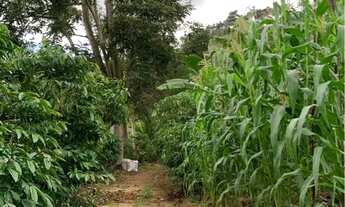 Imagem 6: Sítio em Boa Conserva próximo a Burarama