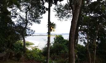 Imagem 7: Terreno com Vista Paradisíaca em Jurerê Internacional