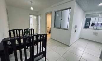 Imagem 5: Aluguel Fundos - Vila Real - Biguaçu SC - Direto com Proprietário