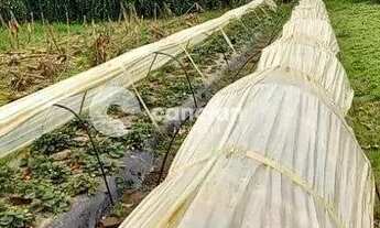 Imagem 5: Casa à venda, 2 quartos, 2 vagas, Diácono João Luiz Pozzobon - Santa Maria/RS