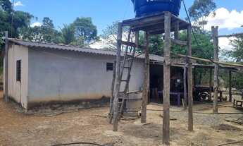 Imagem: Fazenda 81 uma hectares e meia valor 420.000