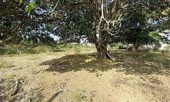 Imagem 7: Sítio Toca da Raposa, 600 metros da entrada do condomínio Lagoa Da Praia