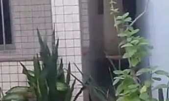 Imagem 2: Vende se casa grande 120 mil com kitnet atrás casa totalmente independente com terraco 15