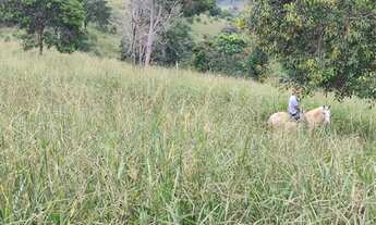 Imagem 3: Fazenda 75 hectares