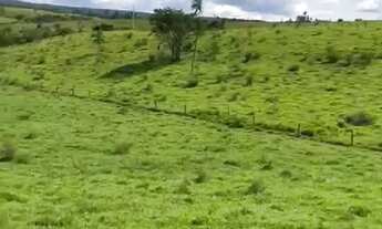 Imagem 3: Fazenda cultura 614 hectares completa negocio aceito trocas