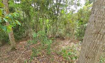 Imagem 7: BLACK Chácara, terra fria, Domingos Martins, tijuco, escriturada, negocio aceito oferta l