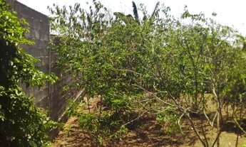 Imagem 4: Terreno a Venda localizado no Bairro Cis em Feira de Santana