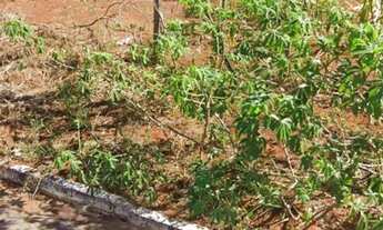 Imagem 2: Lote Vilage Maringá