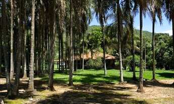 Imagem 4: VENDO FAZENDA EM PALMEIRAS DE GOIAS
