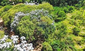 Imagem 3: Terreno 1.605 m2 - Canedos - Piracaia