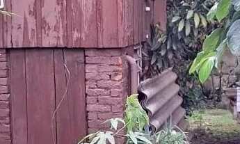 Imagem 5: Venda de Terreno em Caxias do Sul-RS, bairro Pio X