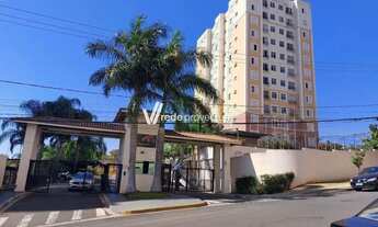 Imagem: Apartamento - São Bernardo - Campinas