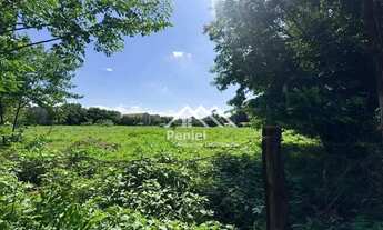 Imagem 3: Área à venda, 15.453 m² por R$ 6.190.000 - Jardim Santa Rosa II - Sertãozinho/SP