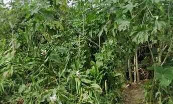 Imagem 3: Lote em Rua Artur Franco - Guaianazes - São Paulo/SP