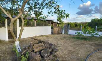 Imagem 4: Vendo chácara em Itaporanga